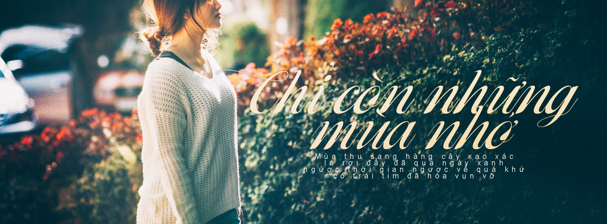 Ảnh cover facebook